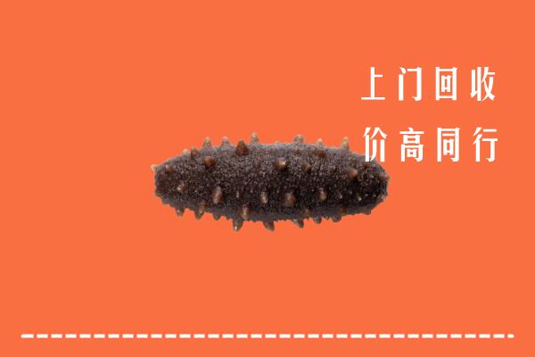 高价求购：商洛市洛南县回收海参