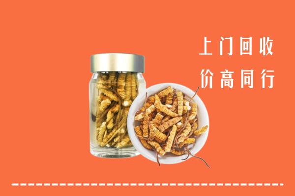 商洛市洛南县回收冬虫夏草