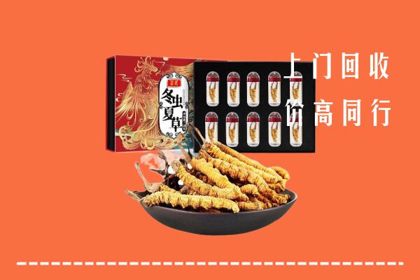 商洛市洛南县回收虫草